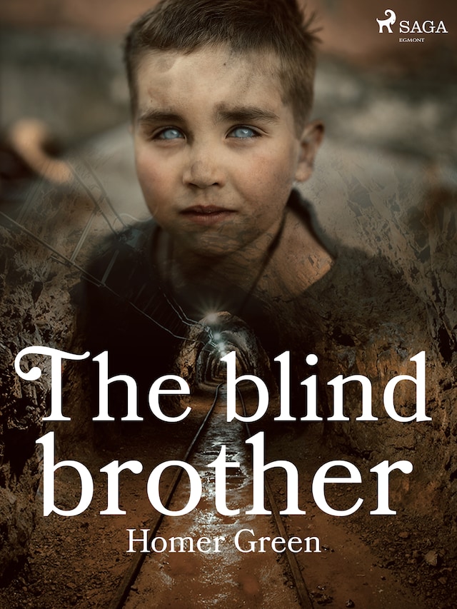 Portada de libro para The Blind Brother