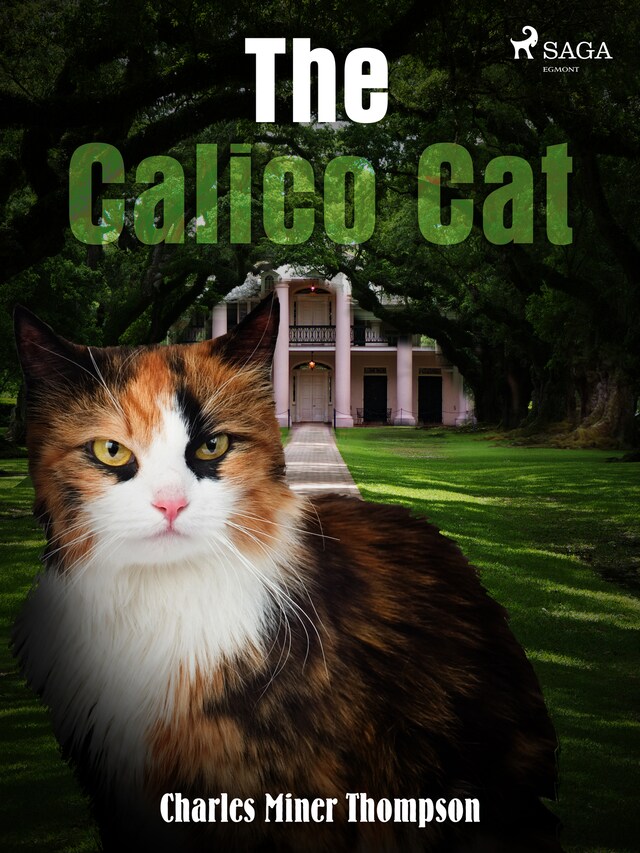 Buchcover für The Calico Cat