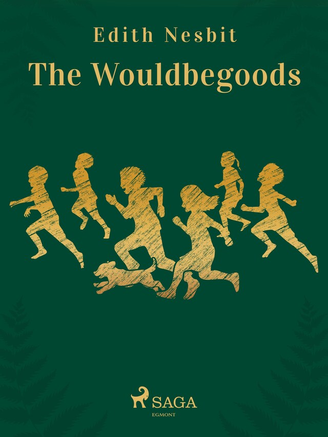 Boekomslag van The Wouldbegoods