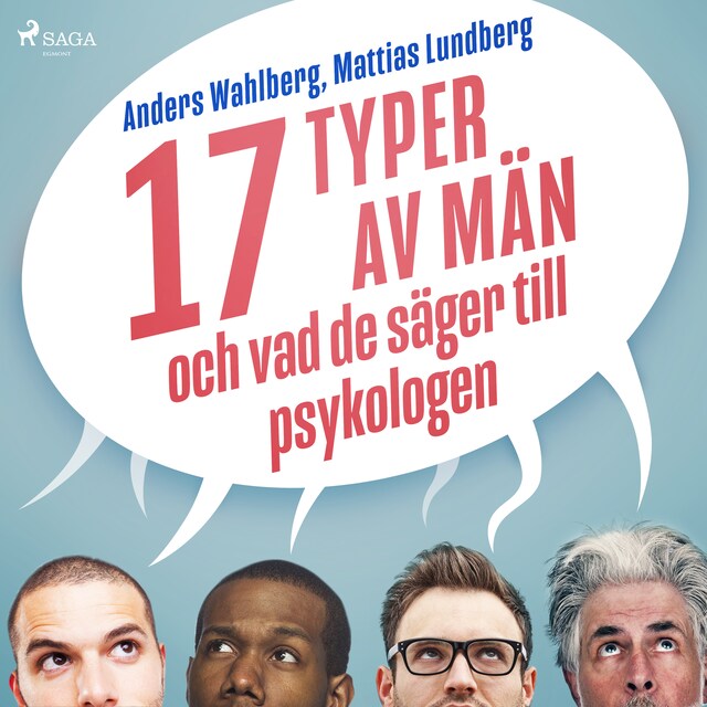 Book cover for 17 typer av män - och vad de säger till psykologen