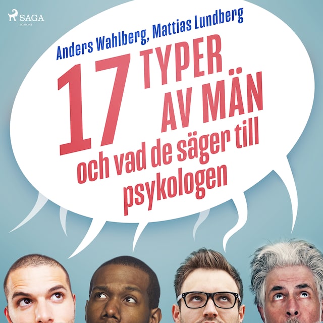Book cover for 17 typer av män - och vad de säger till psykologen