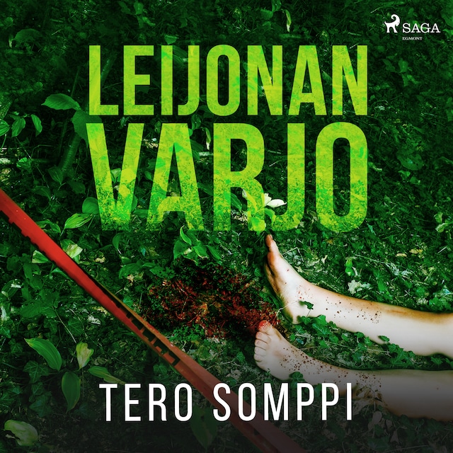 Book cover for Leijonan varjo