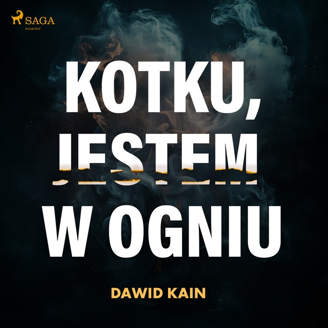 Book cover for Kotku jestem w ogniu