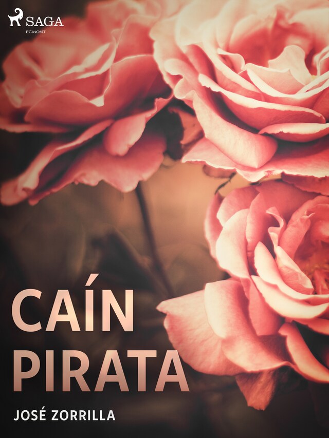 Book cover for Caín pirata