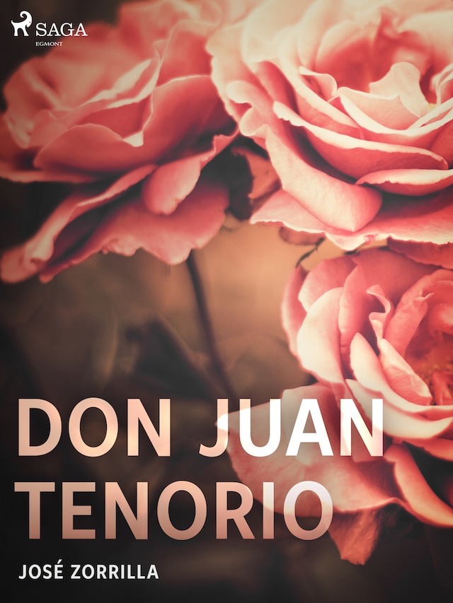 Book cover for Don Juan Tenorio