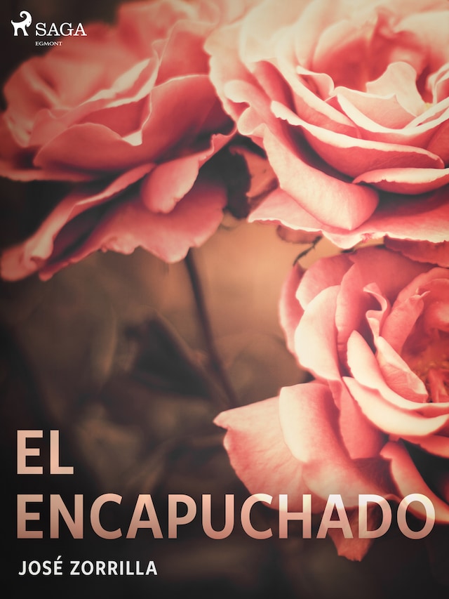 Book cover for El encapuchado