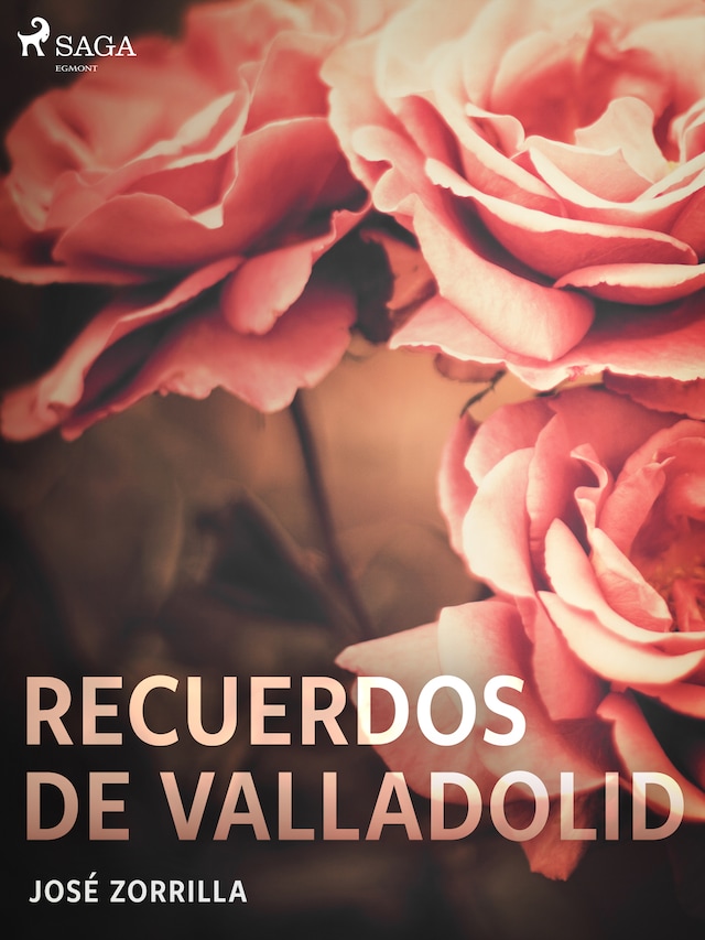Book cover for Recuerdos de Valladolid