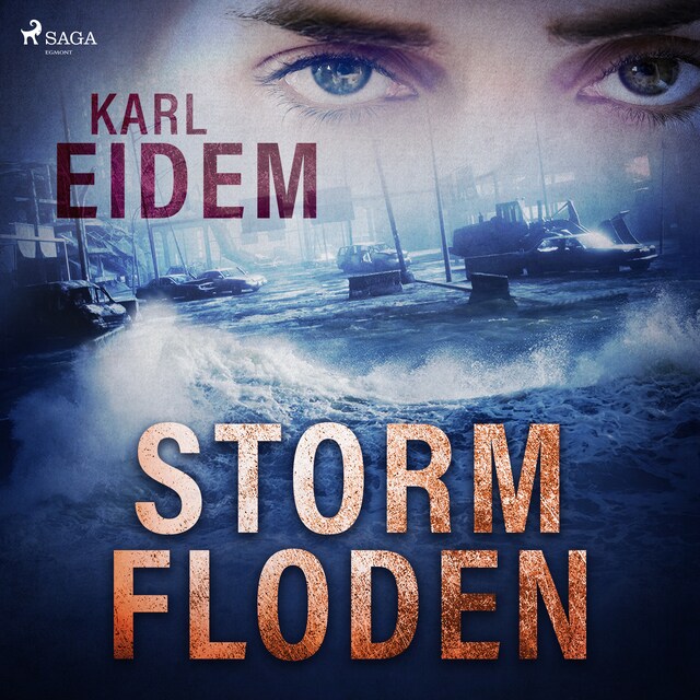 Book cover for Stormfloden