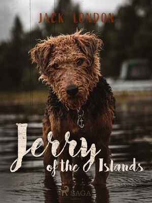 Jerry of the Islands bookCoverFor