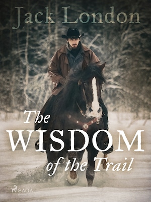 The Wisdom of the Trail bookCoverFor