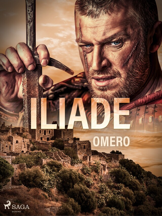 Copertina del libro per Iliade