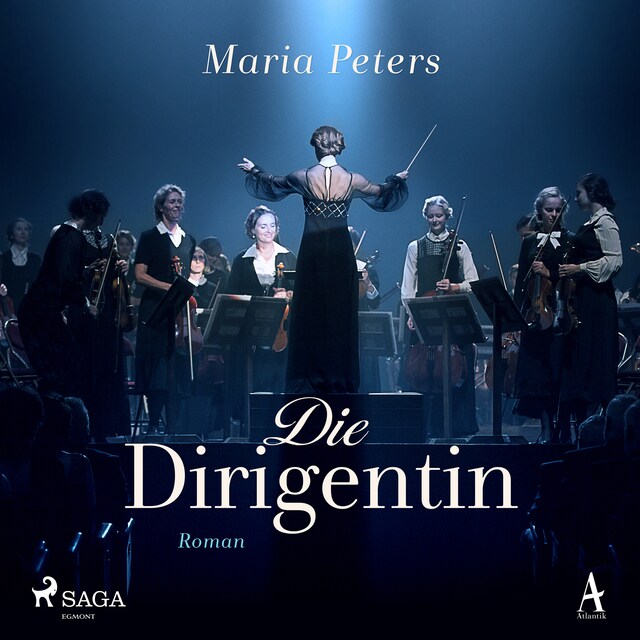 Book cover for Die Dirigentin