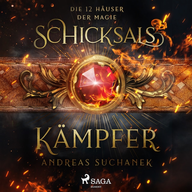 Book cover for Die 12 Häuser der Magie - Schicksalskämpfer