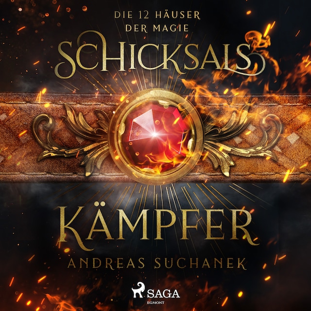 Copertina del libro per Die 12 Häuser der Magie - Schicksalskämpfer