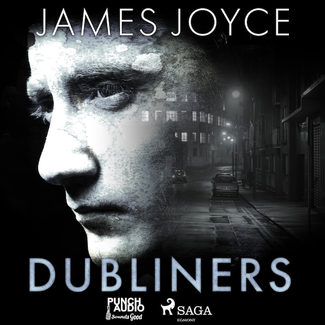 Boekomslag van Dubliners