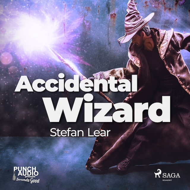 Book cover for Accidental Wizard