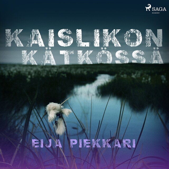 Book cover for Kaislikon kätkössä
