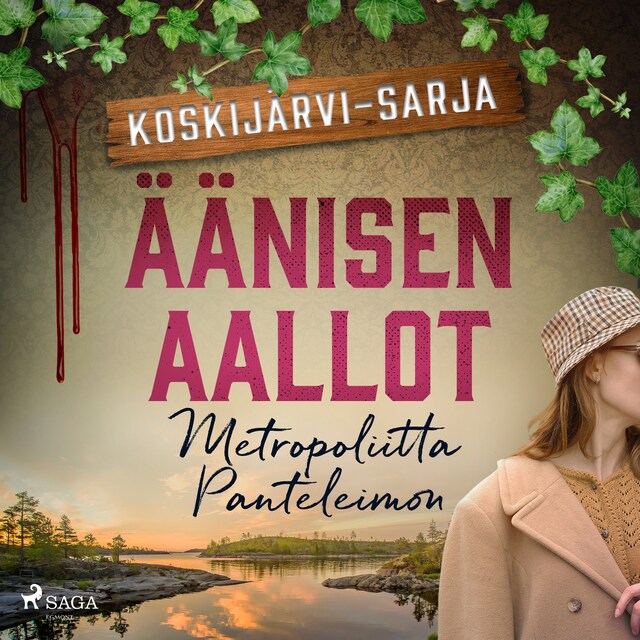 Book cover for Äänisen aallot