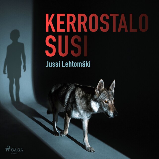 Book cover for Kerrostalosusi