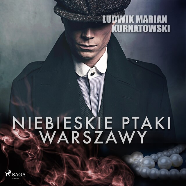 Buchcover für Niebieskie Ptaki Warszawy