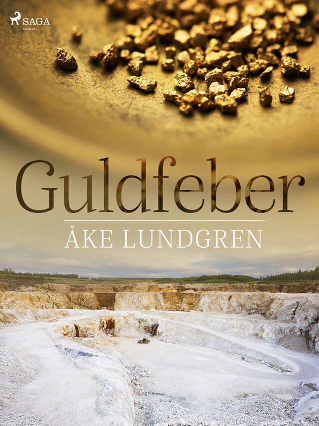 Book cover for Guldfeber