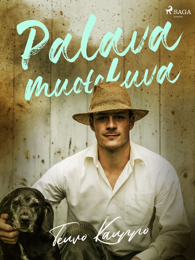Book cover for Palava muotokuva