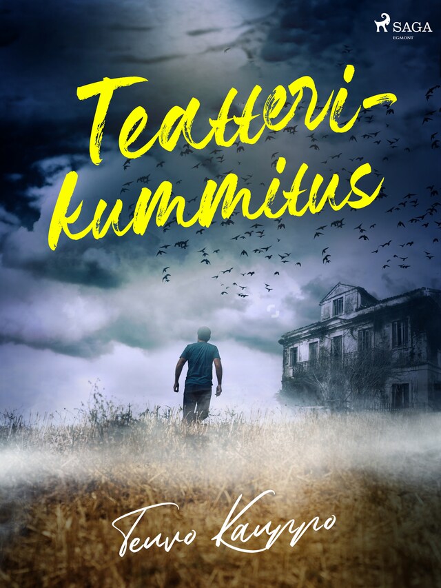 Book cover for Teatterikummitus