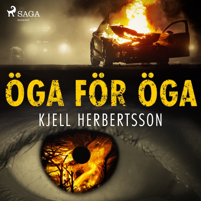 Book cover for Öga för öga