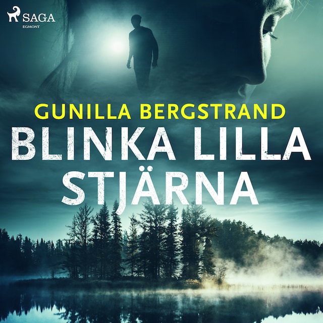 Book cover for Blinka lilla stjärna