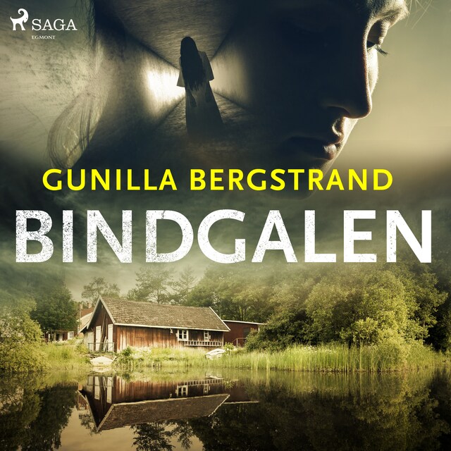 Book cover for Bindgalen