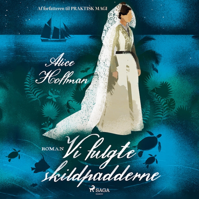 Copertina del libro per Vi fulgte skildpadderne