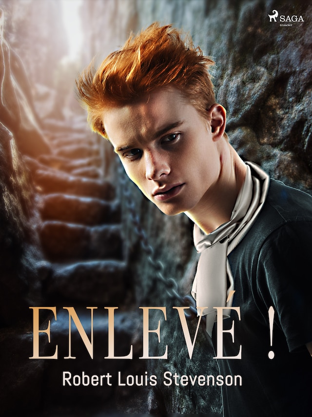 Book cover for Enlevé !