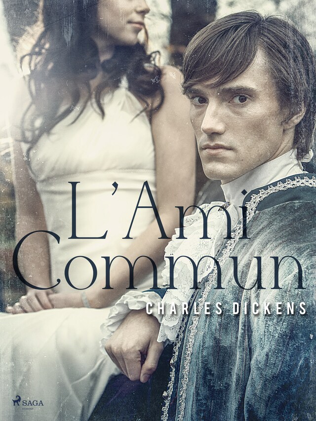Book cover for L'Ami Commun