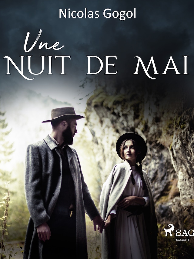 Book cover for Une Nuit de Mai