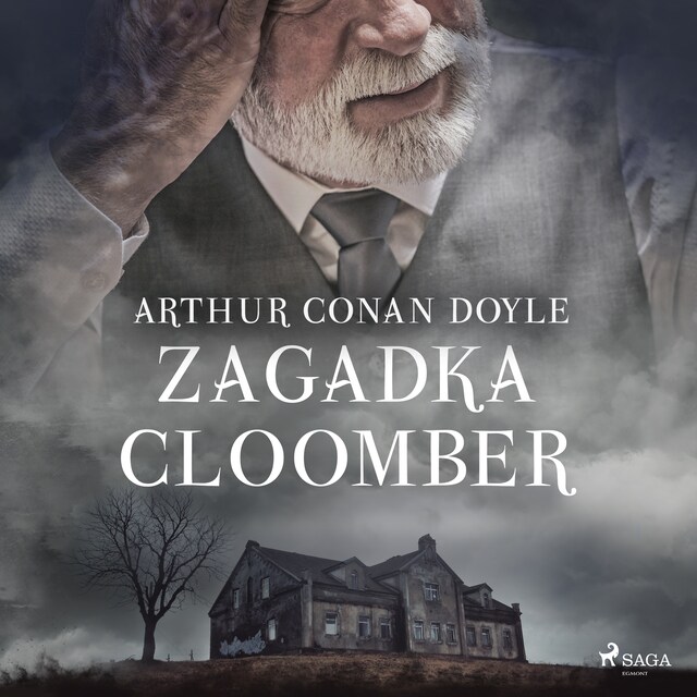 Book cover for Zagadka Cloomber