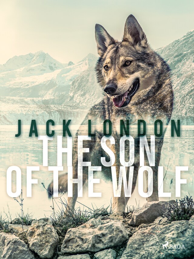 Book cover for The Son of the Wolf