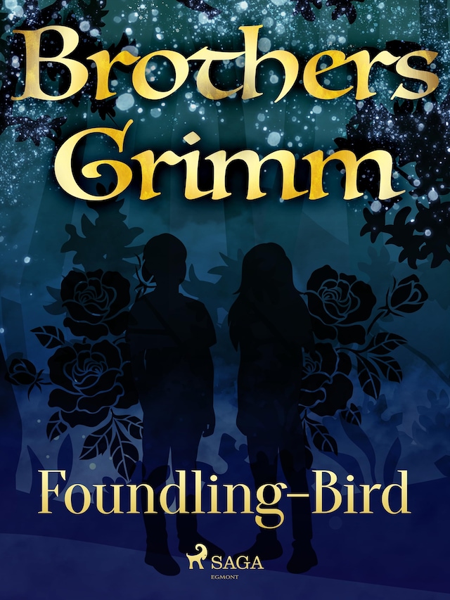 Boekomslag van Foundling-Bird