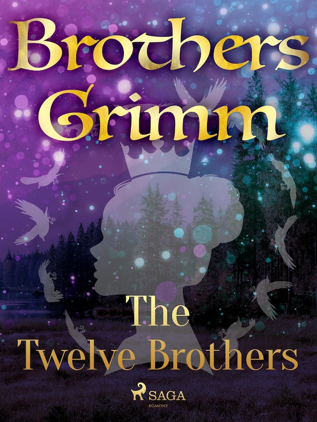 Copertina del libro per The Twelve Brothers