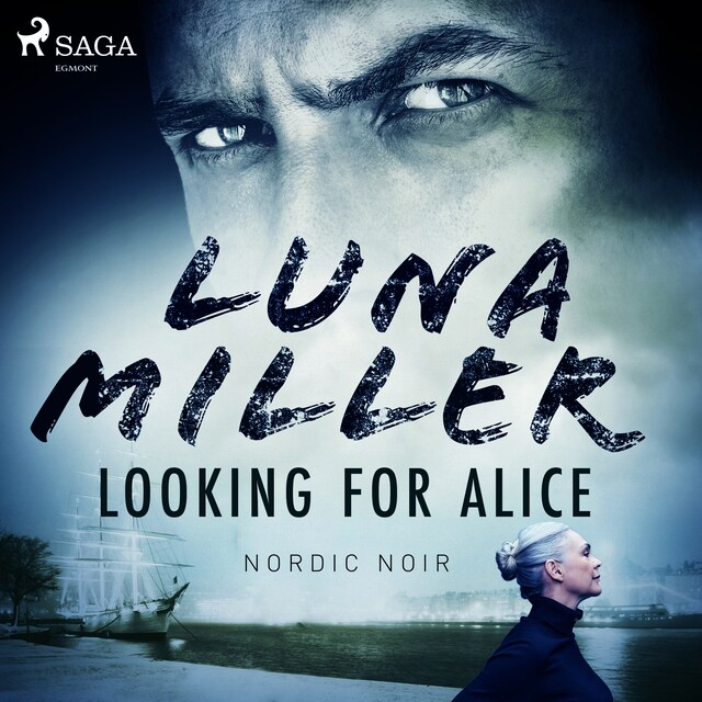 Book cover for Looking for Alice