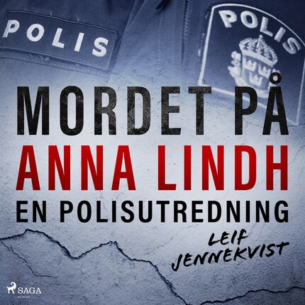 Mordet på Anna Lindh: en polisutredning bookCoverFor
