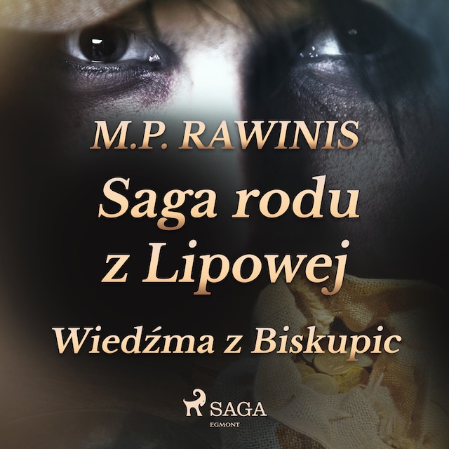 Book cover for Saga rodu z Lipowej 14: Wiedźma z Biskupic