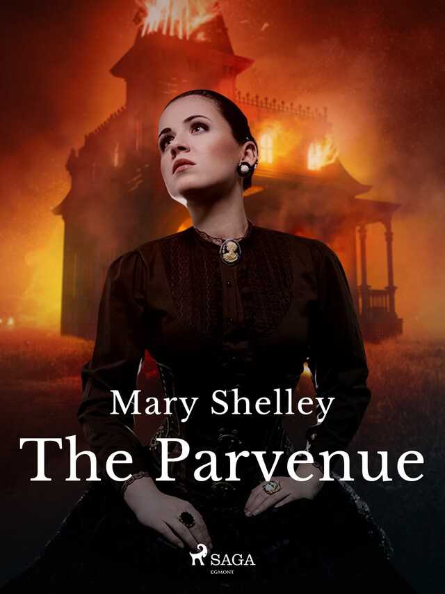 Book cover for The Parvenue