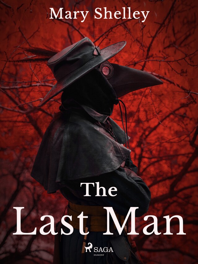 Book cover for The Last Man