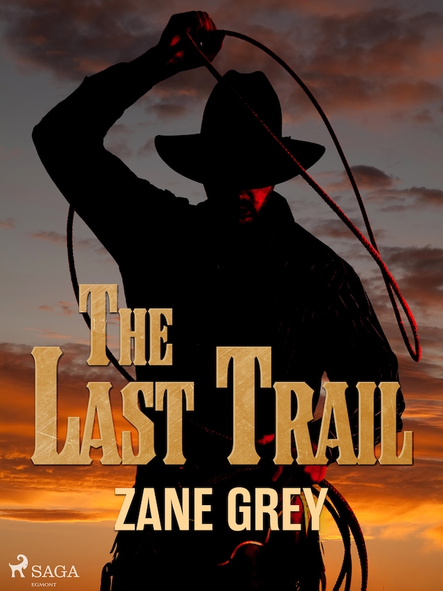 Book cover for The Last Trail