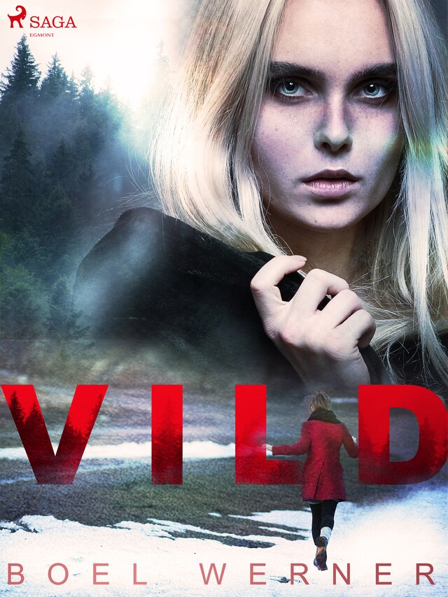 Book cover for Vild