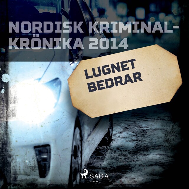 Book cover for Lugnet bedrar