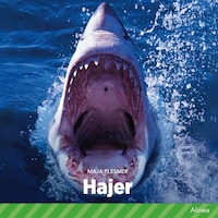Hajer