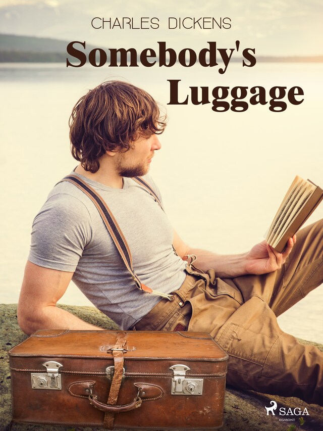 Okładka książki dla Somebody's Luggage