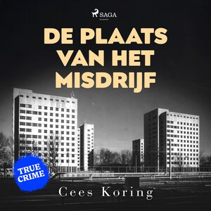 De plaats van het misdrijf - luisterboek