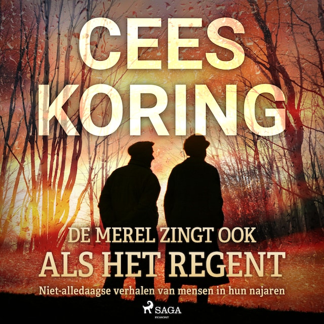 Book cover for De merel zingt ook als het regent